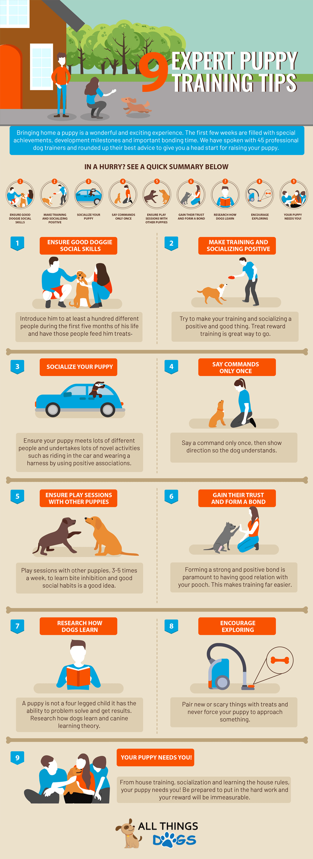 new puppy training guide