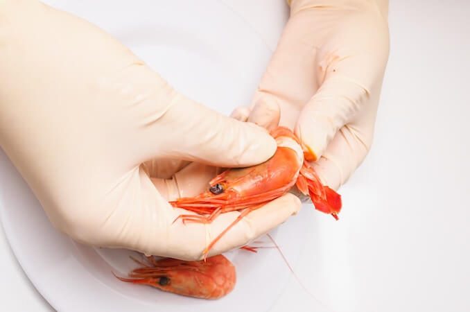 are dogs allergic to shrimp