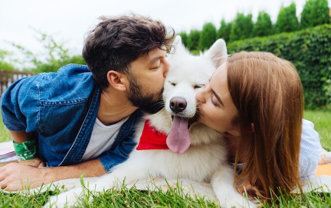 Should You Let a Dog Lick You