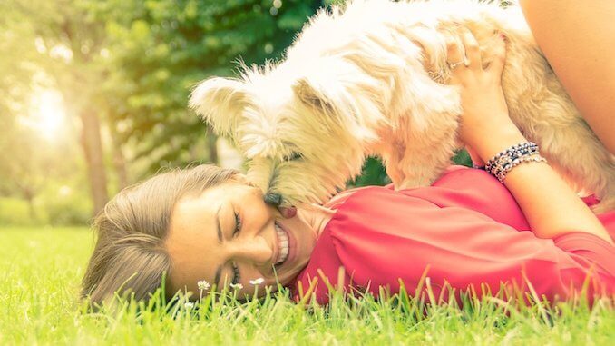 Should You Let a Dog Lick You
