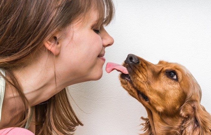 Why Do Dogs Lick Your Face and Feet