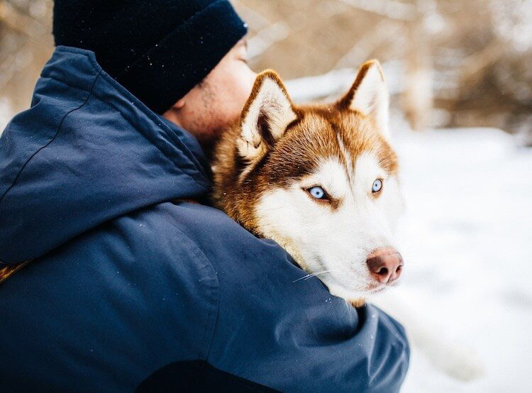Noms de Husky tirés de films