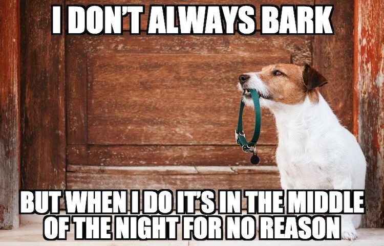 Bark Pun