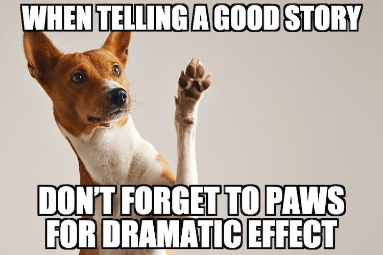 Dog Paw Meme