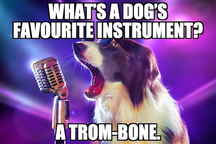 Dog Singing Meme