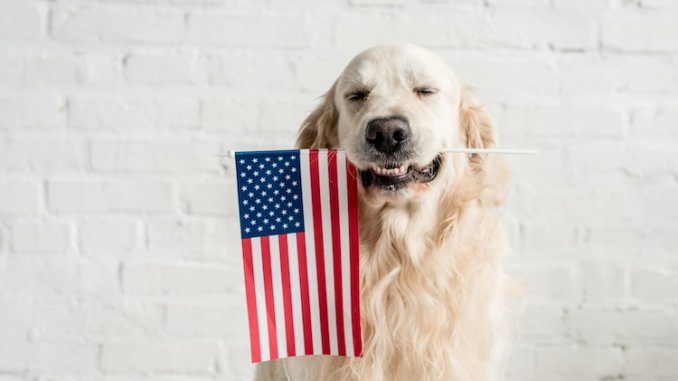 Golden Retriever Names Feature Golden Retriever Names Feature