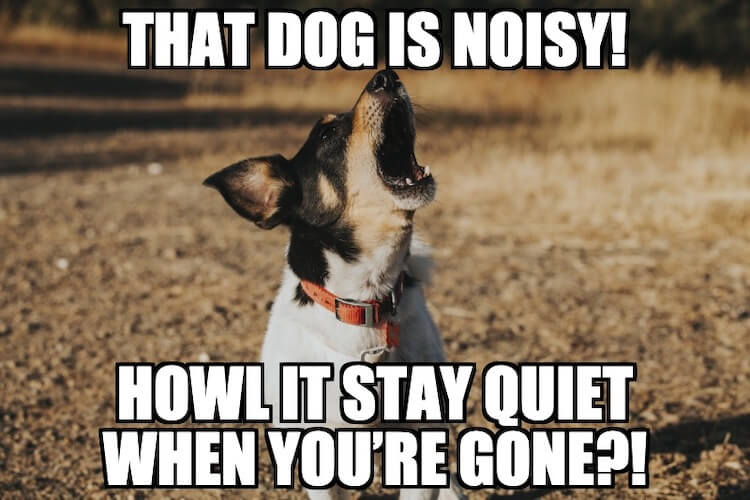 Howling Dog Pun