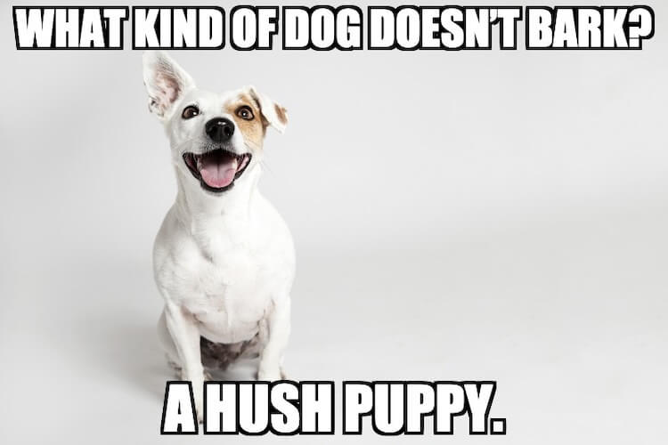Hush Puppy Pun