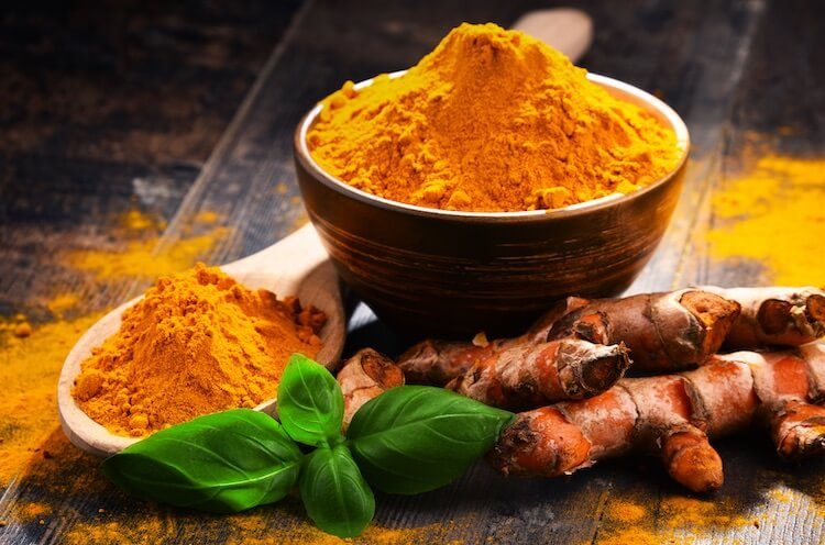 Turmeric For Dogs Feature