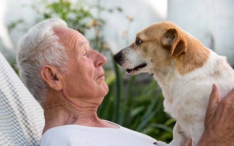 Senior Man and Dog