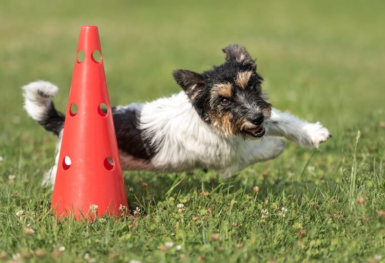 Walk Round A Cone