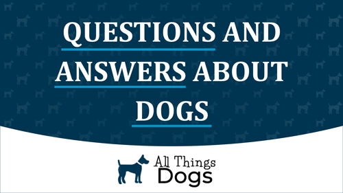 Questions and Answers About Dogs from the Experts at All Things Dogs