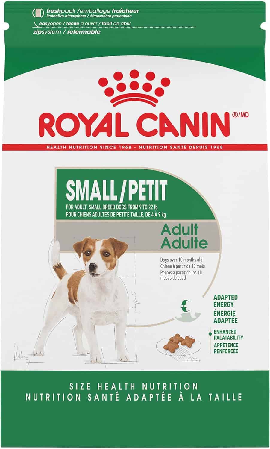 11 Best Dog Foods for Cavapoos (2024) For Happiness & Health